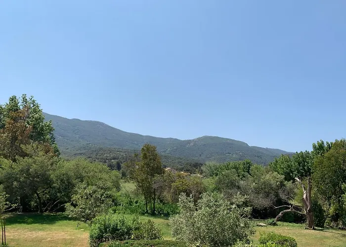 Du Parc De La Liscia * Calcatoggio (Corsica)
